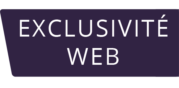 EXCLUWEB