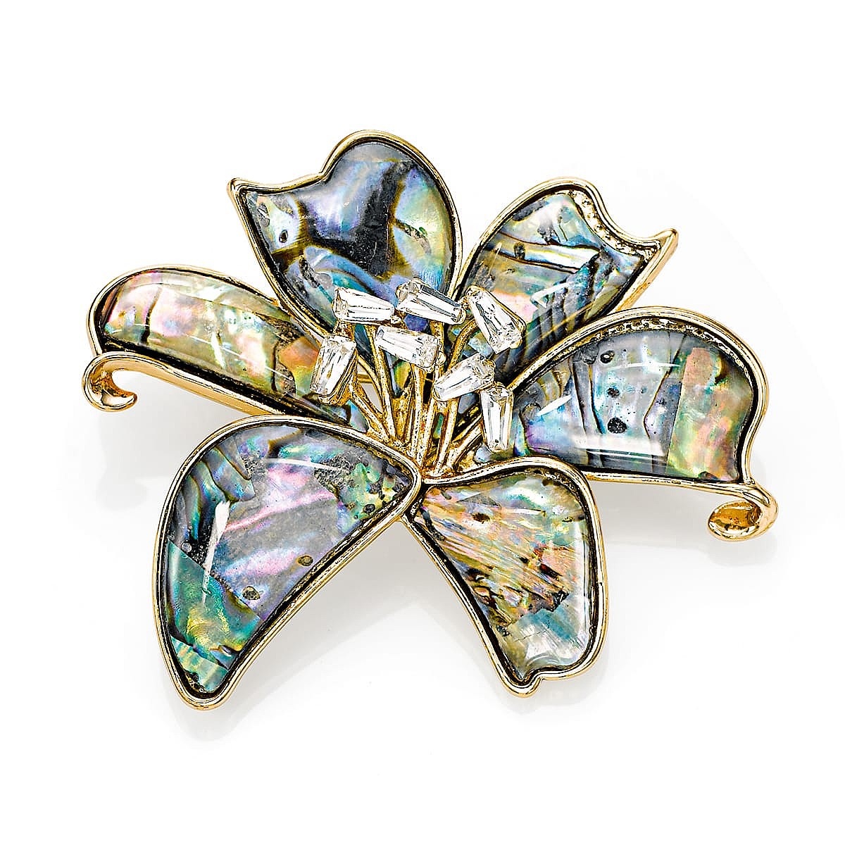 Broche en Abalone Île Irisée