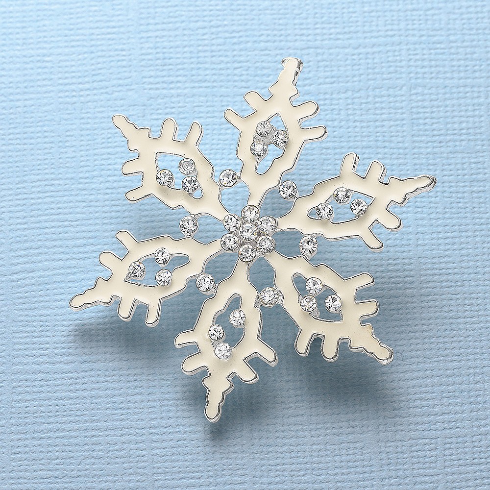 Broche Que Tombe La Neige