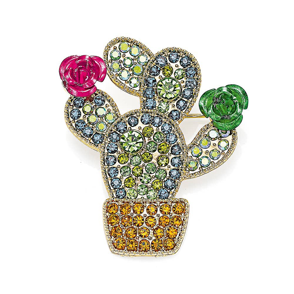 Broche Cactus Assez Épineux